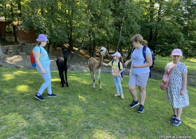 Leśny Park Niespodzianek