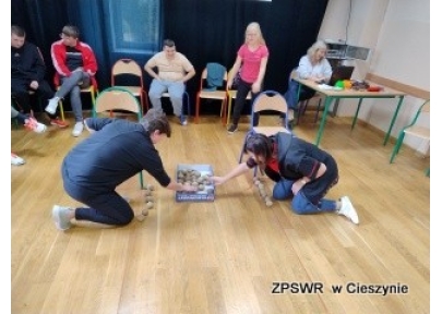 Dzień Ziemniaka w SPDP